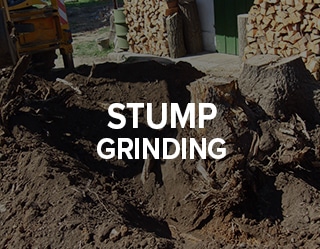stump grinding